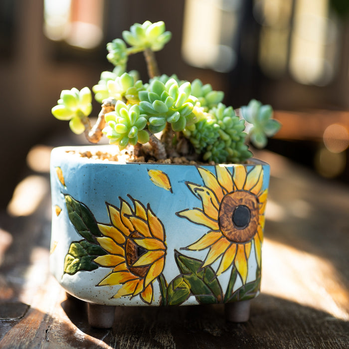 Vibrant Planter