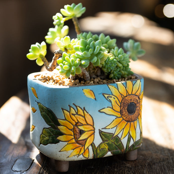 Vibrant Planter