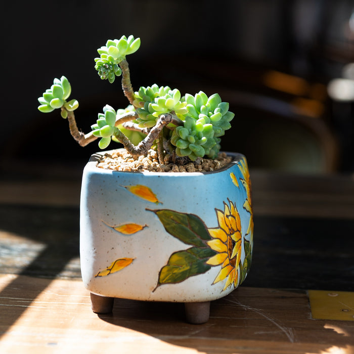 Vibrant Planter