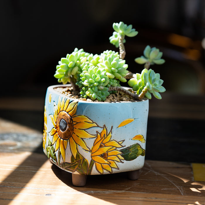 Vibrant Planter