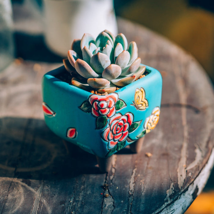 Bloom Planter