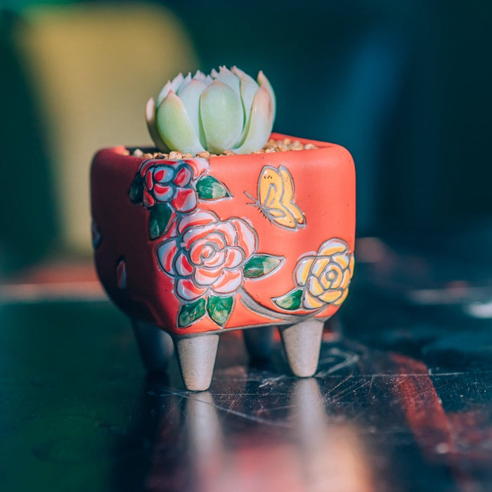 Bloom Planter