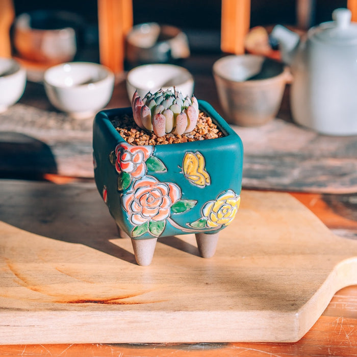 Bloom Planter