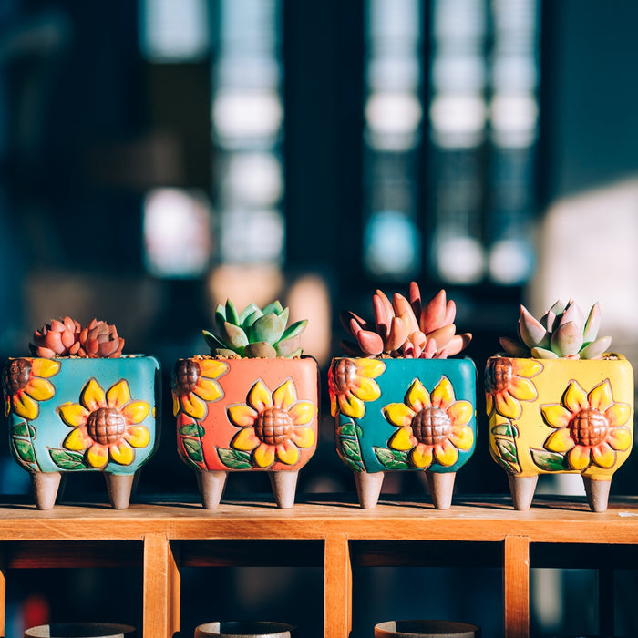 Radient Planter