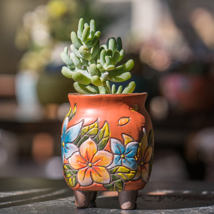 Fresh Planter