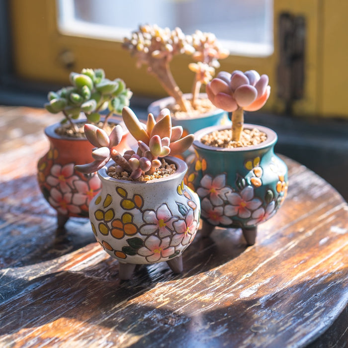 Breezy Planter