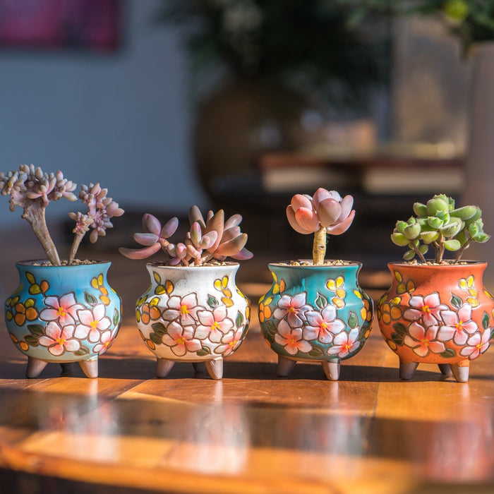 Breezy Planter