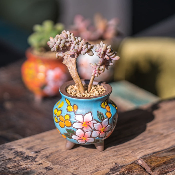 Breezy Planter