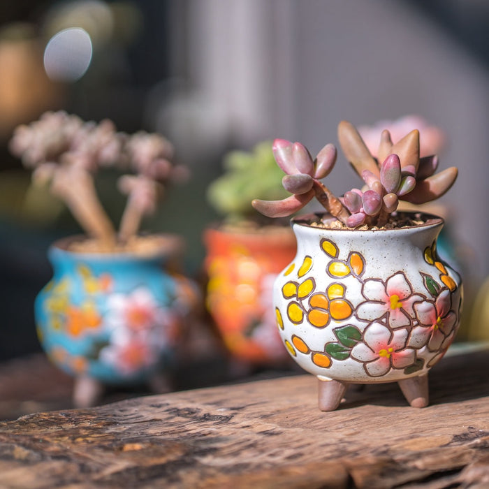 Breezy Planter