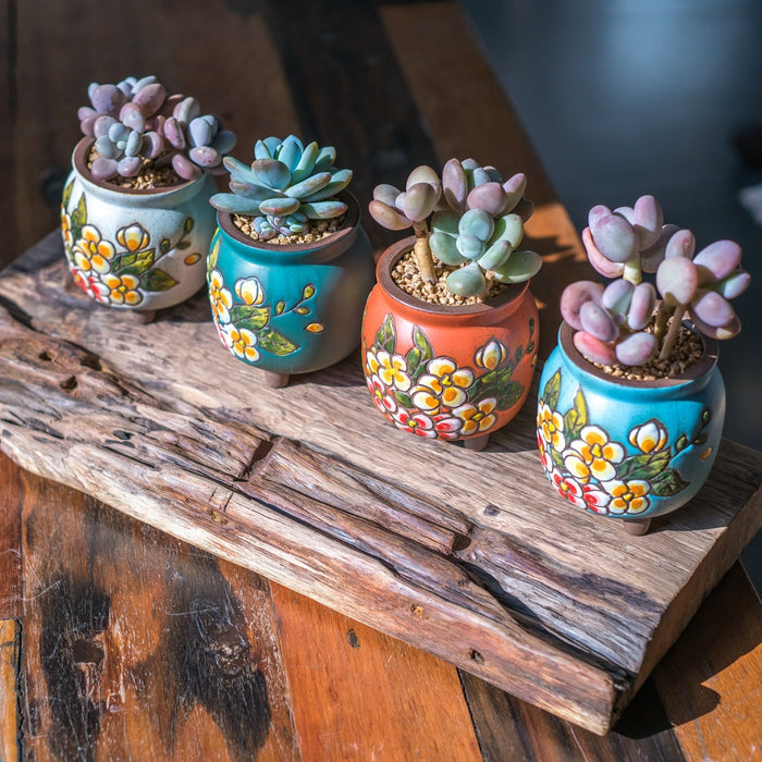 Wildflower Planter