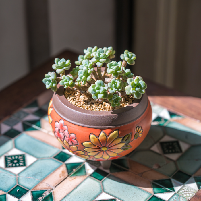 Earthy Planter