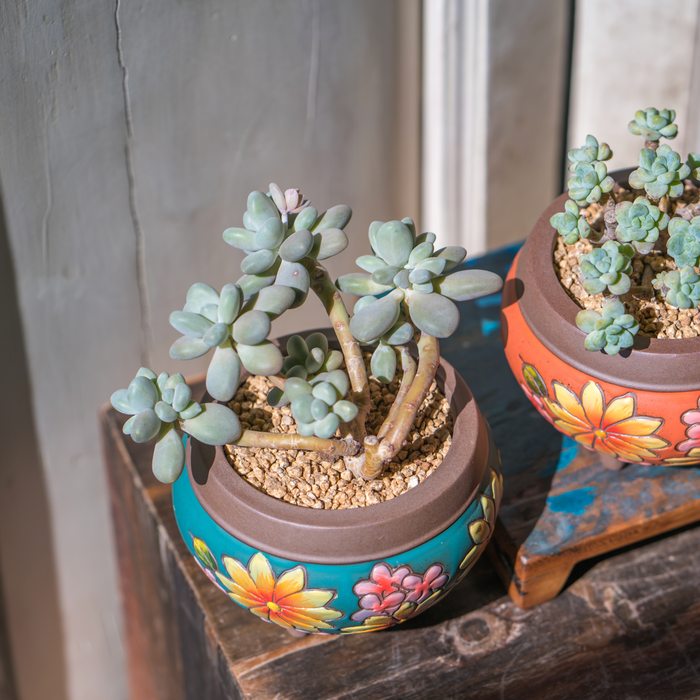 Earthy Planter