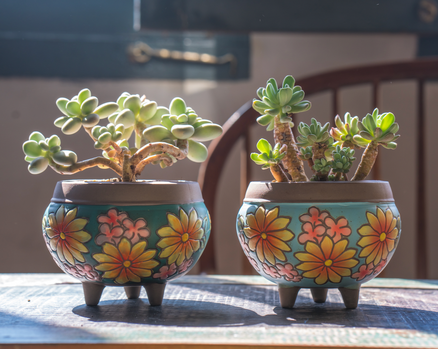 Earthy Planter