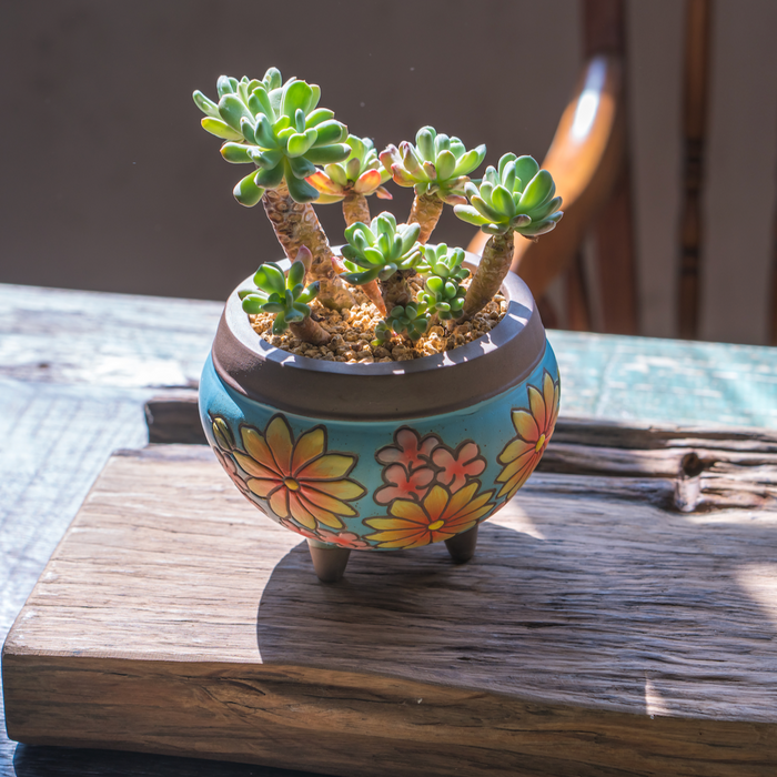 Earthy Planter