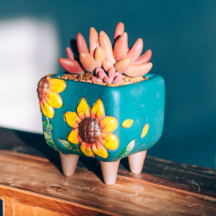 Radient Planter