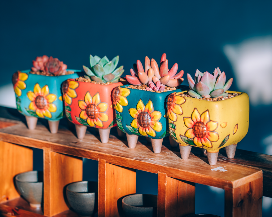 Radient Planter