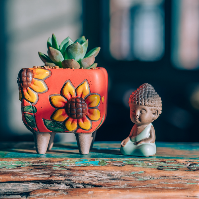 Radient Planter
